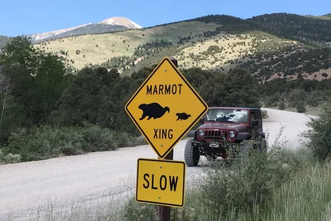Baker Creek Campground - Great Basin National Park