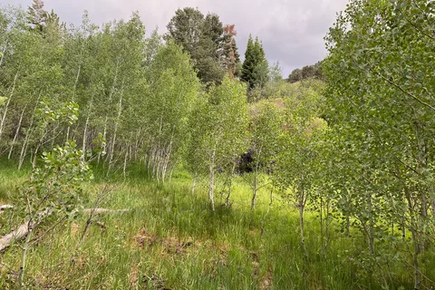 Baker Creek Campground - Great Basin National Park