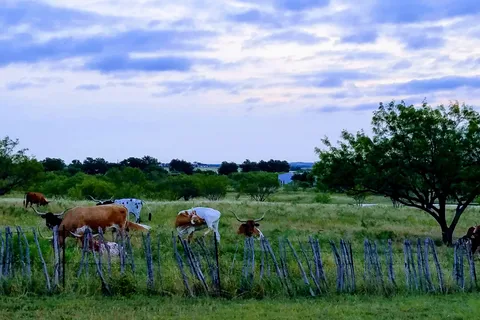 Post Oak Place RV Park