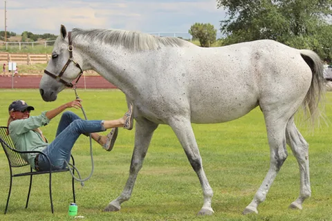 HIPICO Santa Fe