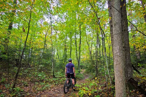 Arrowhead Bike Farm and Campground