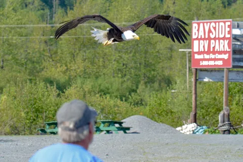 Bayside RV Park