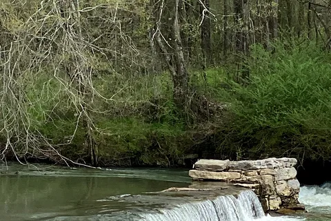 Bigs Wills Creek Campground
