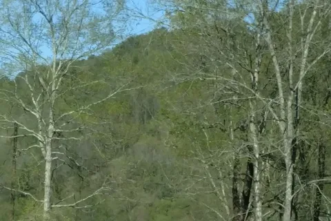 Bigs Wills Creek Campground