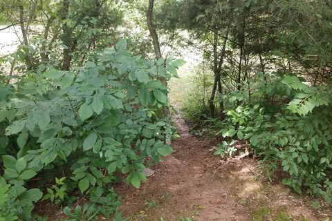 Tennessee Country Campground and RV Park
