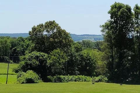 White Oak Campground