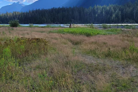 Ralph River - Strathcona Provincial Park
