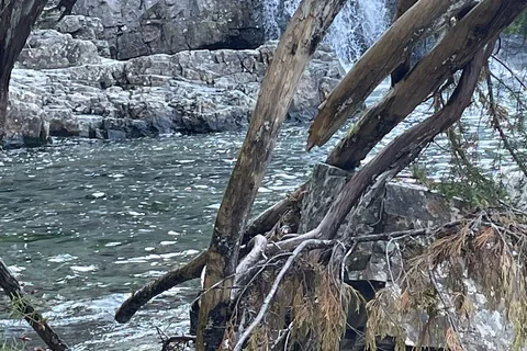 Ralph River - Strathcona Provincial Park