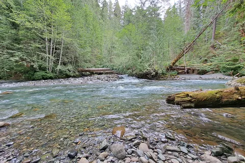 Ralph River - Strathcona Provincial Park