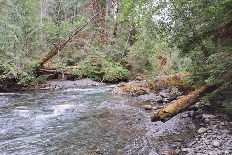 Ralph River - Strathcona Provincial Park