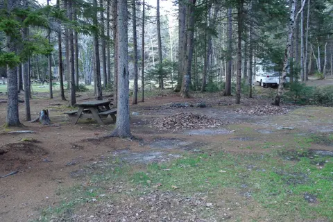 Sherwood Forest CampSite