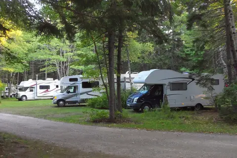 Sherwood Forest CampSite