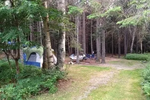 Sherwood Forest CampSite