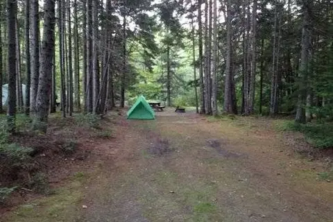 Sherwood Forest CampSite