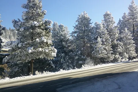 Truckee River RV Park