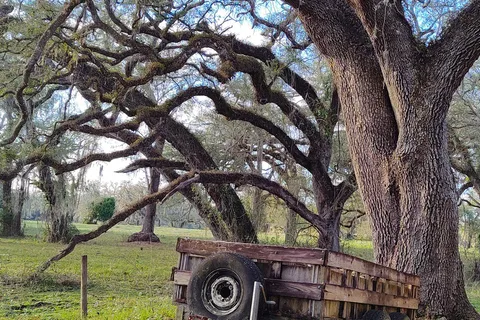 Sumter Oaks RV Park