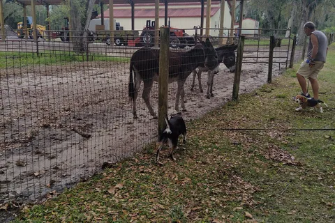 Sumter Oaks RV Park