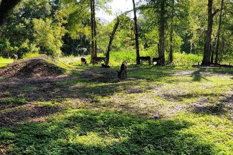 Sumter Oaks RV Park