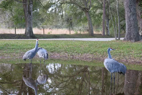 Sumter Oaks RV Park