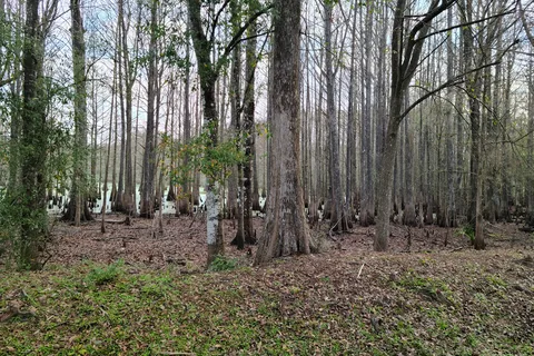 Sumter Oaks RV Park