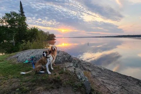 Falcon Lakeshore - Whiteshell Provincial Park