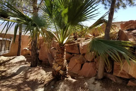 Nevada Treasure RV Resort and Spa