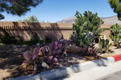 Nevada Treasure RV Resort and Spa