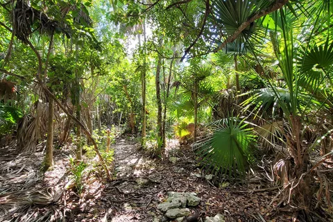 Curry Hammock State Park
