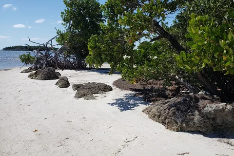 Curry Hammock State Park