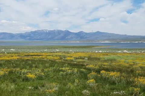 Crowley Lake RV Park