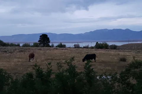 Crowley Lake RV Park
