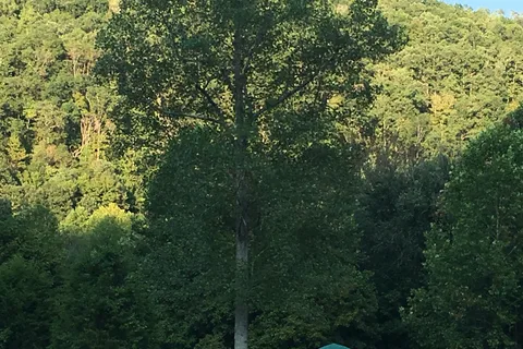 4 Guys RV Park at the Gorge