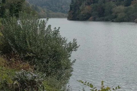 Riverside RV Resort