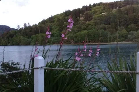 Riverside RV Resort