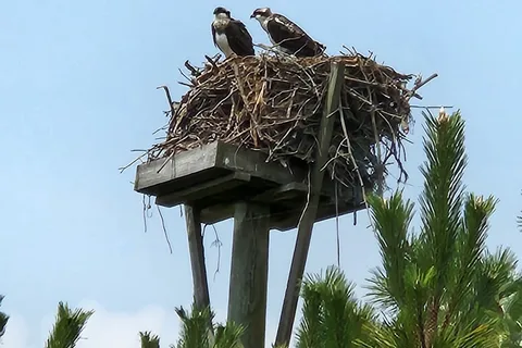 Heckscher State Park