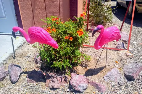 Belly Acres RV Park