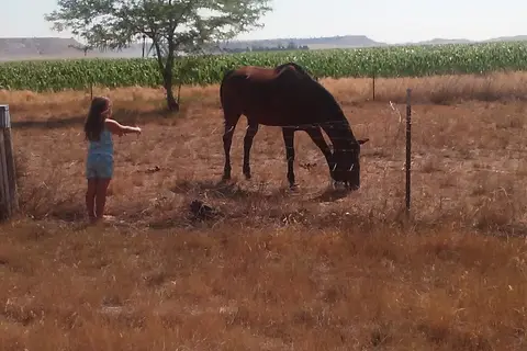 Pony Soldier RV Park