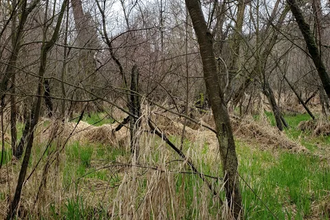 Lewis and Clark Trail State Park