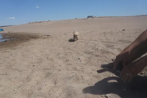 Desert Cove - Elephant Butte Lake State Park