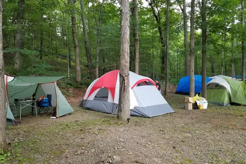 Silver Valley Campsites