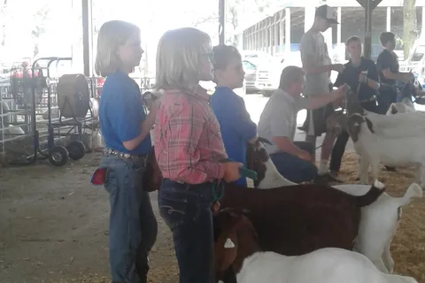Livingston County 4-H Campgrounds