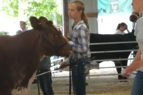 Livingston County 4-H Campgrounds