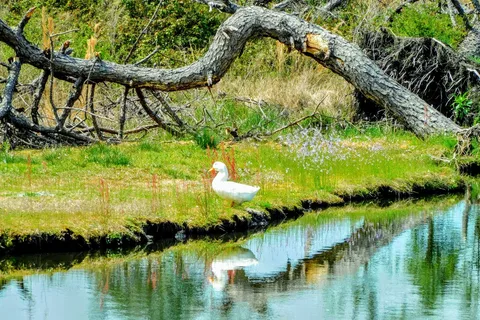 Augies World Campground and RV Park