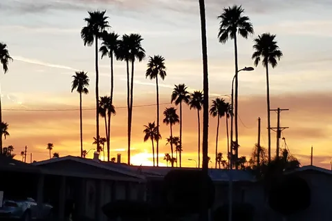 Palm Gardens Motorhome Complex and RV Park (55+)