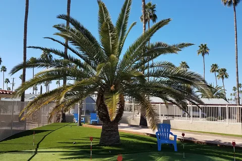 Palm Gardens Motorhome Complex and RV Park (55+)