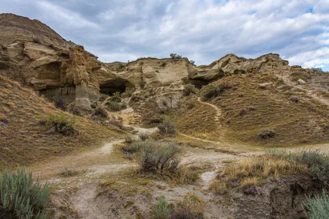 Dinosaur Provincial Park