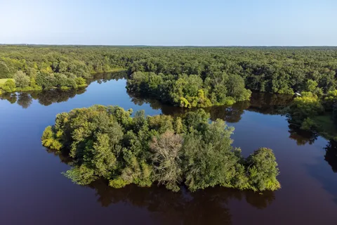 Turkey Swamp Park