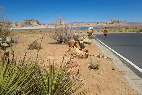 Wahweap Campground and RV Park