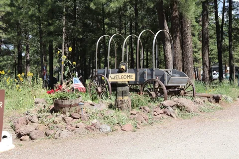 Woody Mountain Campground