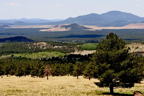 Woody Mountain Campground
